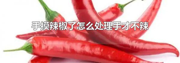 手摸辣椒了怎么处理手才不辣