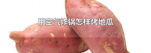 用空气炸锅怎样烤地瓜