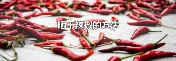 晒干辣椒的方法
