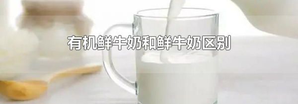 有机鲜牛奶和鲜牛奶区别