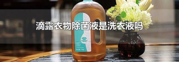 滴露衣物除菌液是洗衣液吗
