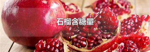 石榴含糖量