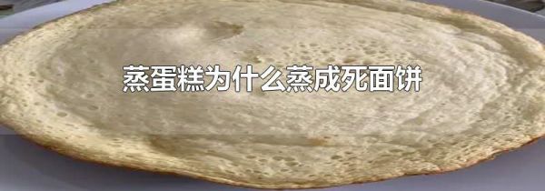 蒸蛋糕为什么蒸成死面饼