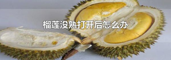 榴莲没熟打开后怎么办