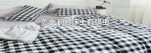 怎么判断床上有螨虫