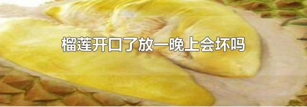 榴莲开口了放一晚上会坏吗