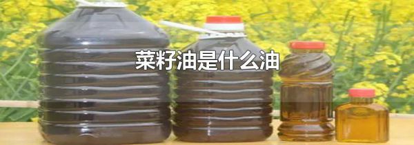 菜籽油是什么油