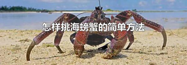 怎样挑海螃蟹的简单方法