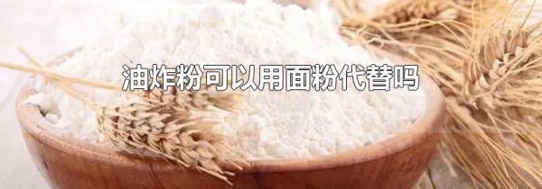 油炸粉可以用面粉代替吗