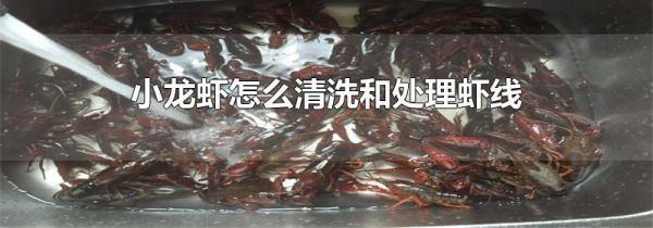 小龙虾怎么清洗和处理虾线