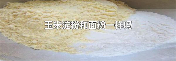 玉米淀粉和面粉一样吗