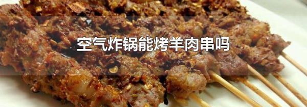 空气炸锅能烤羊肉串吗