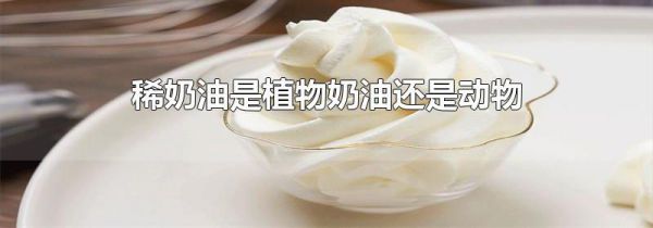 稀奶油是植物奶油还是动物
