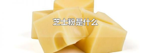 芝士粉是什么