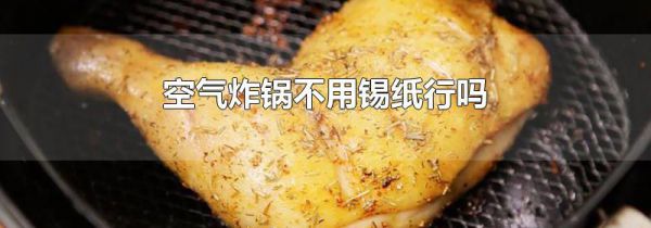 空气炸锅不用锡纸行吗