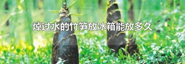 焯过水的竹笋放冰箱能放多久