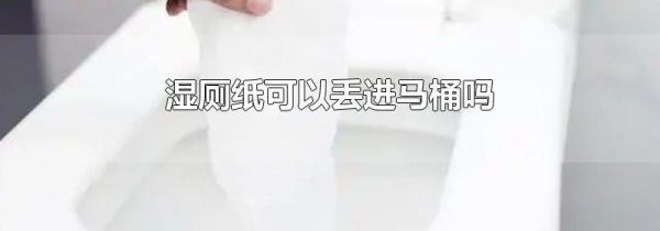 湿厕纸可以丢进马桶吗