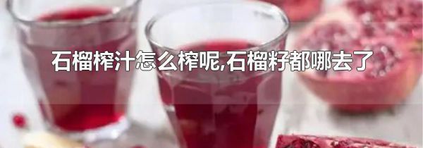 石榴榨汁怎么榨呢,石榴籽都哪去了