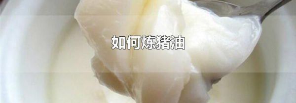 如何炼猪油