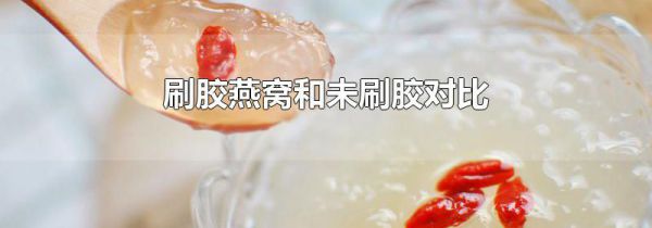 刷胶燕窝和未刷胶对比