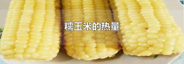 糯玉米的热量