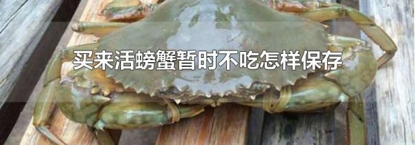 买来活螃蟹暂时不吃怎样保存