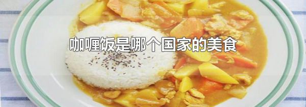 咖喱饭是哪个国家的美食