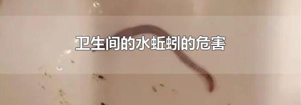 卫生间的水蚯蚓的危害