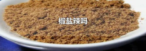 椒盐辣吗