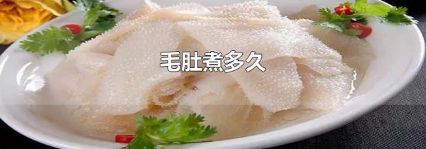 毛肚煮多久