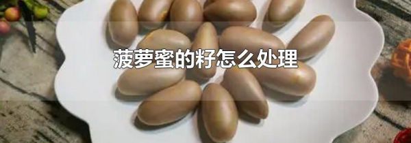 菠萝蜜的籽怎么处理