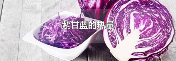 紫甘蓝的热量