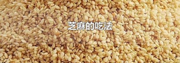 芝麻的吃法
