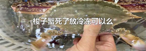 梭子蟹死了放冷冻可以么