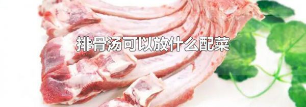 排骨汤可以放什么配菜