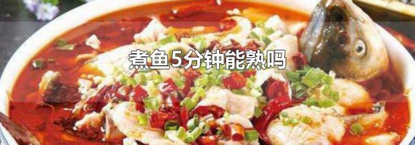 煮鱼5分钟能熟吗