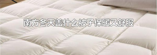 南方冬天盖什么被子保暖又舒服