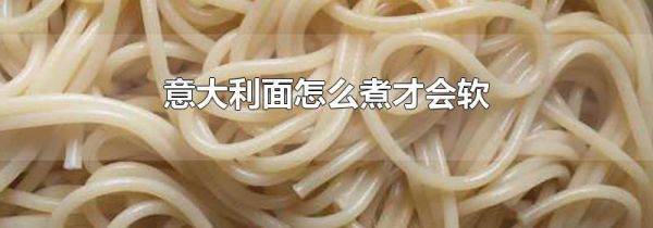 意大利面怎么煮才会软
