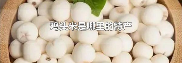 鸡头米是哪里的特产