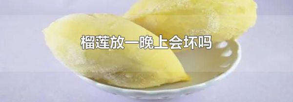 榴莲放一晚上会坏吗
