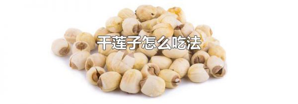 干莲子怎么吃法