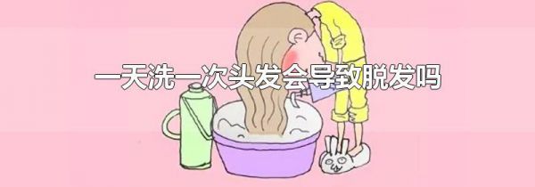 一天洗一次头发会导致脱发吗