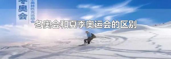 冬奥会和夏季奥运会的区别