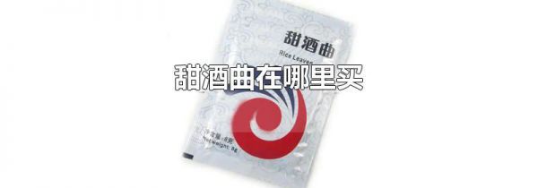 甜酒曲在哪里买