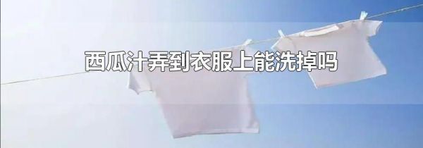 西瓜汁弄到衣服上能洗掉吗