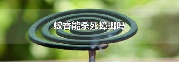 蚊香能杀死蟑螂吗