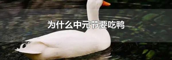 为什么中元节要吃鸭