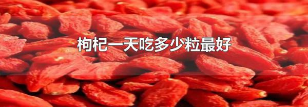 枸杞一天吃多少粒最好