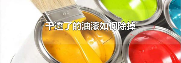干透了的油漆如何除掉