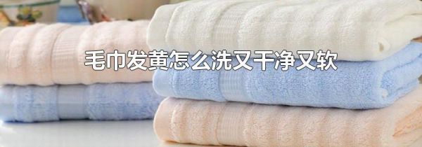 毛巾发黄怎么洗又干净又软
